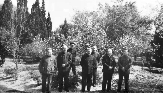 1982年，上海市委领导同志在上海西郊宾馆，左起钟民、韩哲一话说回来，这帮人可