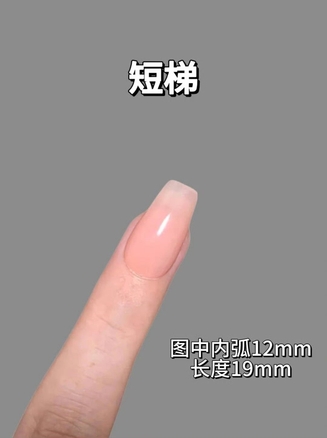 终于有人说清楚美甲甲型了！