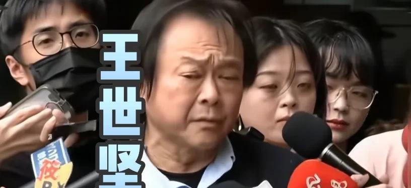 民进党的王世坚出手了，真是不出手则已，一出手就如同“搞笑小品”，因为他在众多岛内