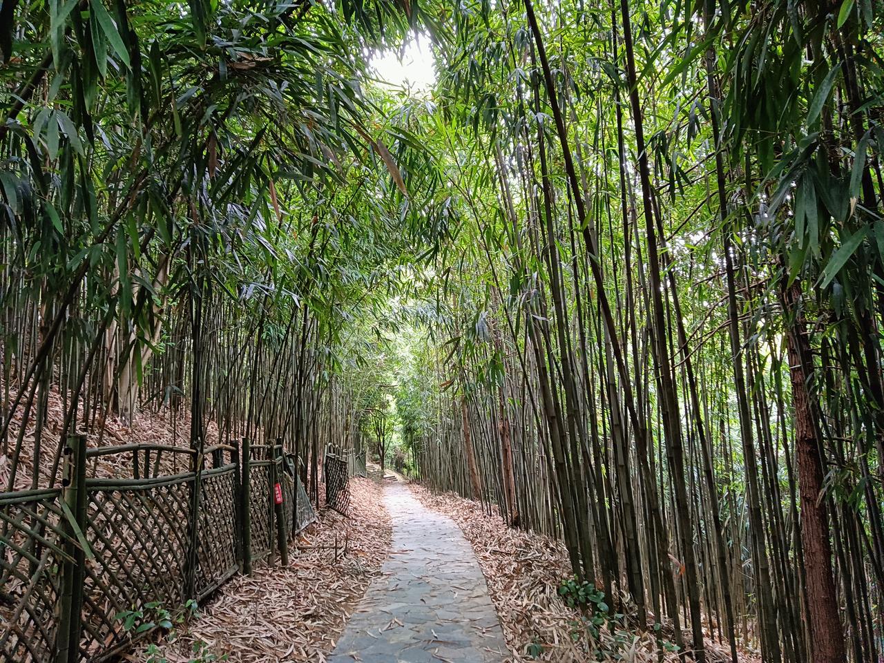 网上经常刷到“80年代的中专有多牛，相当于现在的985大学”。作为当年过来之人