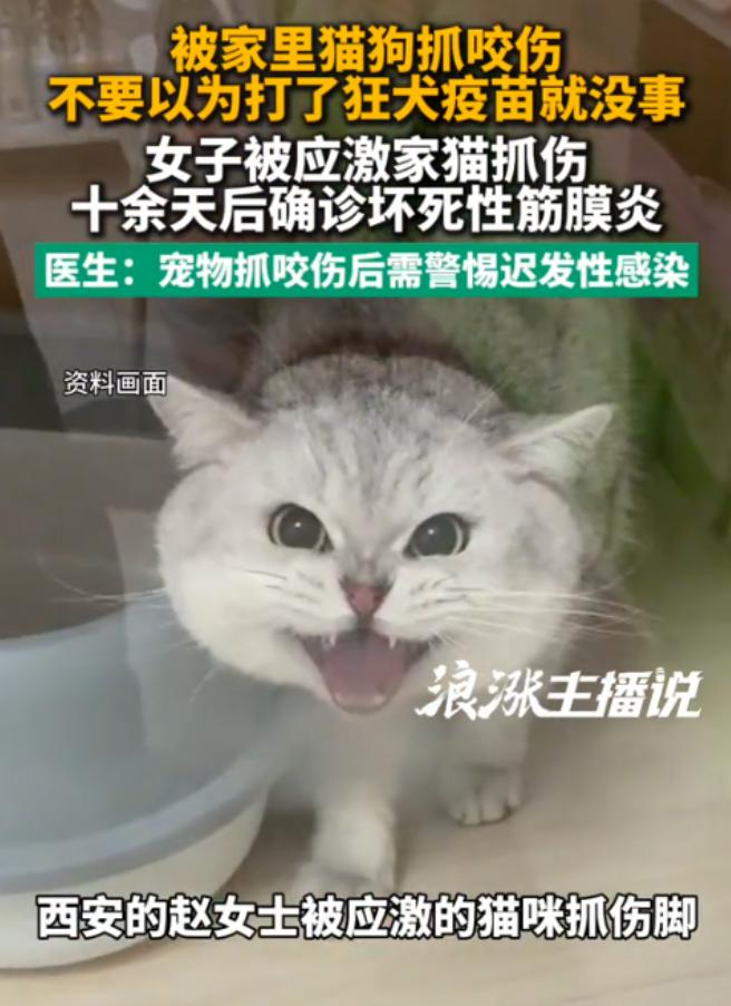 8月7日报道陕西西安，一女子被家猫抓出血，全程规范打完疫苗、伤口快速结痂后本以为