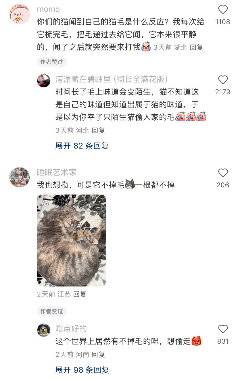 养猫的时间此刻具像化