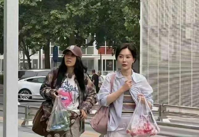 那英毫无美感，陈数还是很漂亮的！ 那英本身就是一个极普通的女人，若不是唱歌出