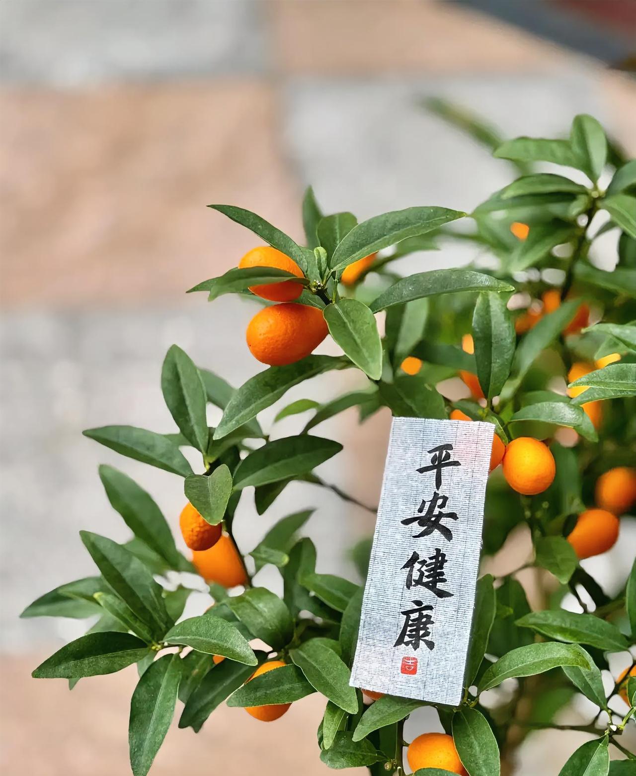 以前很难治，现在已经能治的7种疾病：第一种，天花第二种，丙型肝炎第三种，