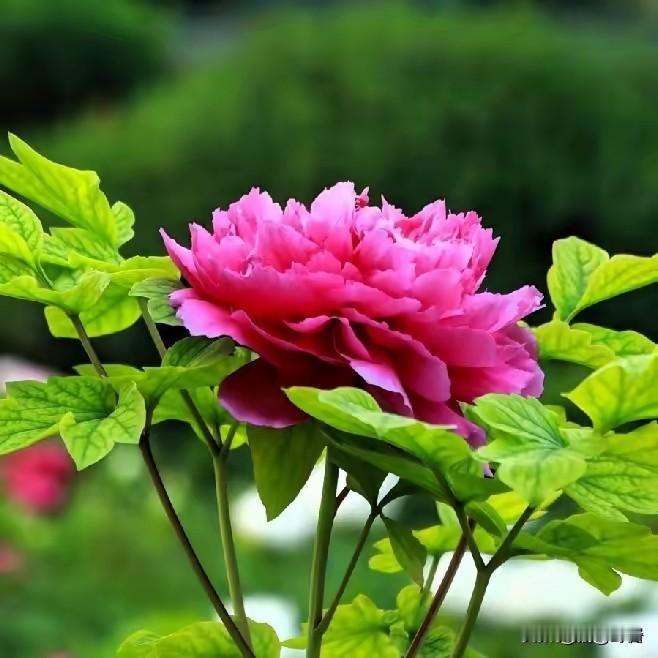 治愈自己的最好方式1. 停止向外求，转向向内修别人的安慰只是暂时止痛，自