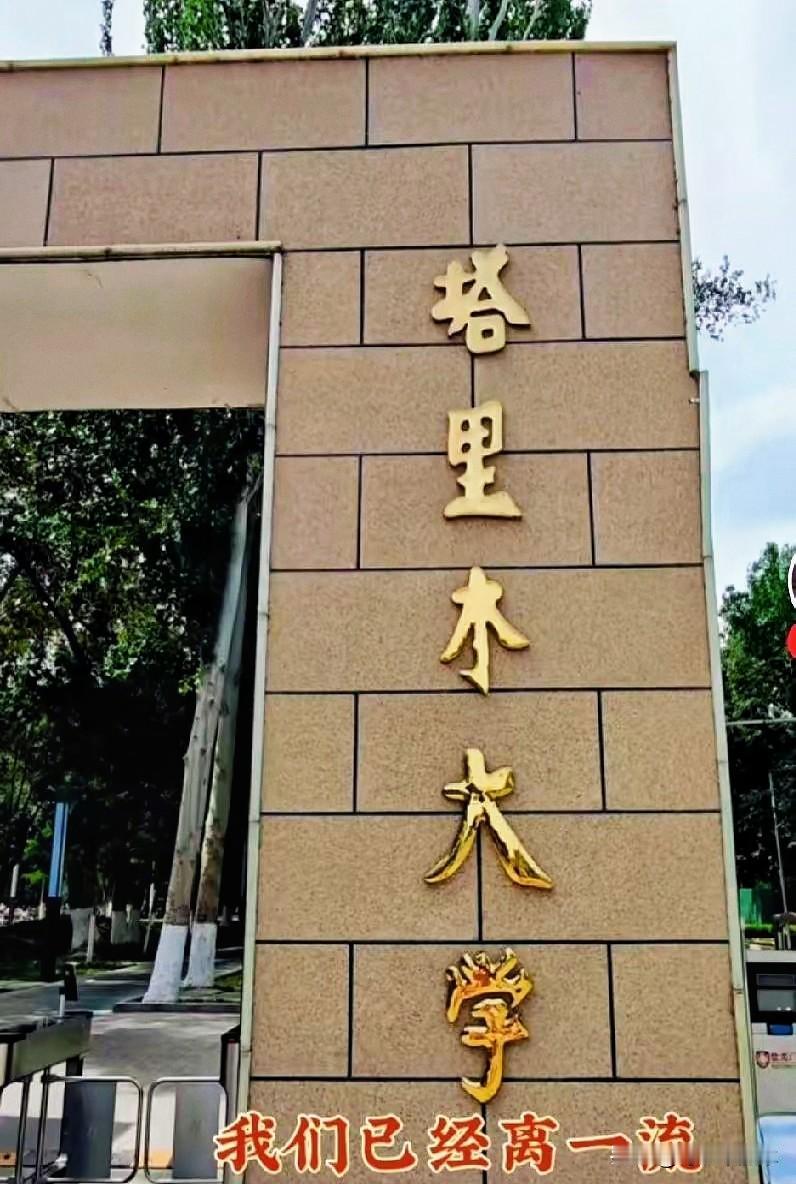 听完朋友孩子在塔里木大学的经历，我手里刚买的几十块钱一盒的西瓜，瞬间就不香了。