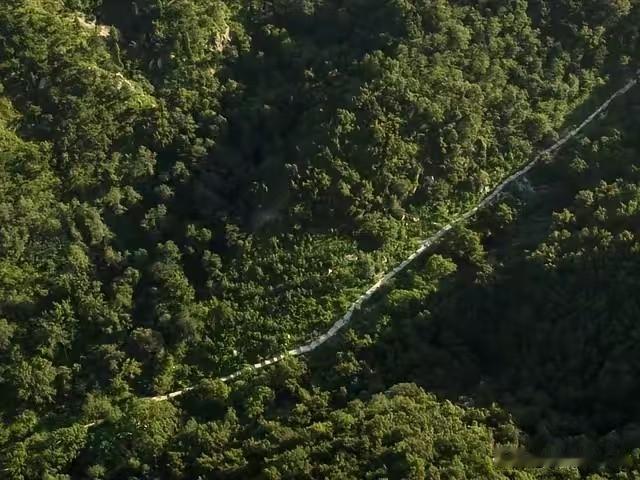135公里，2500万，每公里花费18.5万，看到这几个数字，我不禁想问一句，在