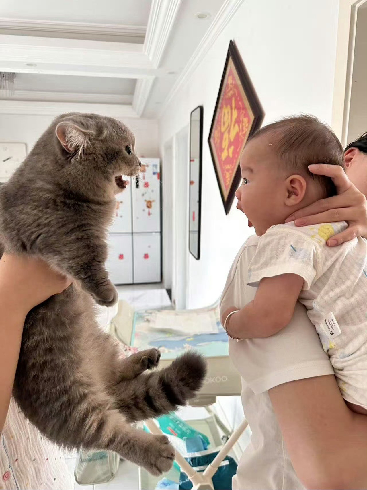 猫咪：这就是少主子吗