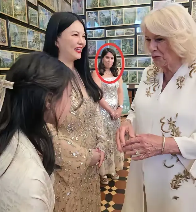 今天李湘的脸估计都黑了​自己带着女儿参加英国皇室聚会。​本以为能得到大家的羡