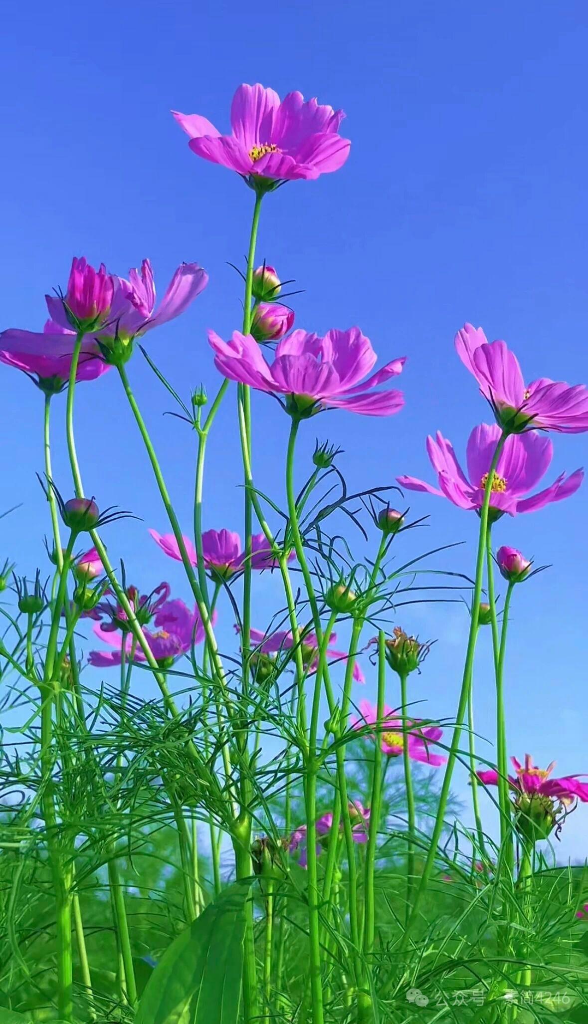 天蝎座5个反人类特征，看看你占几个第一，天蝎座说着最放荡不羁的话，精神上却比任