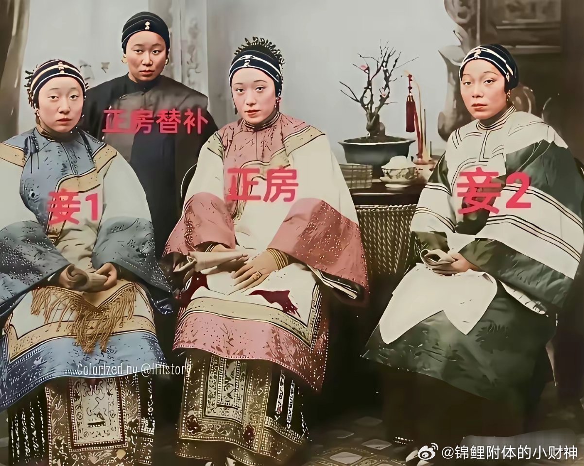 这个正房和妾都好理解，但是这个正房替补你们怎么理解！我还是第一次知道还有正房替补