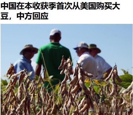 没想到还真的恢复购买美国大豆了!路透社29日报道称,中粮集团已经购买了三批美国大