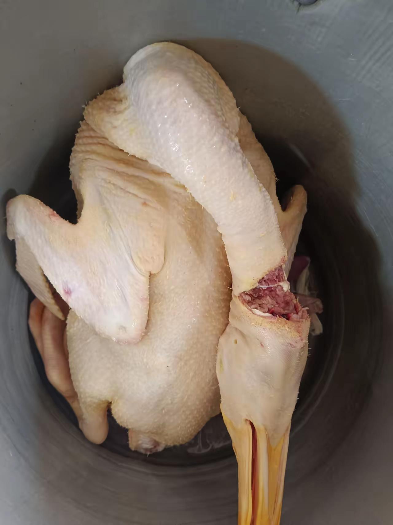 广东远嫁广西，昨晚和广西仔吵架到半夜，说好的天一亮就去离婚的，我也是争口气，一直