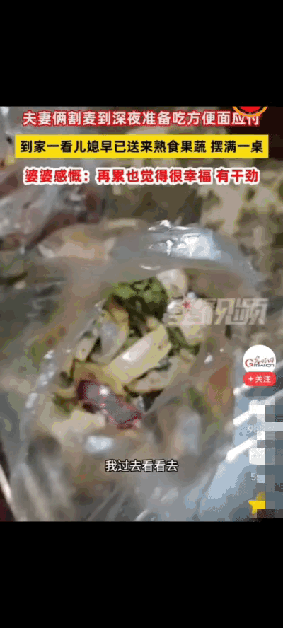 太暖心了！河南周口一对老夫妻为了赶在下雨前抢收麦子，从早忙到深夜才往家走。两人又