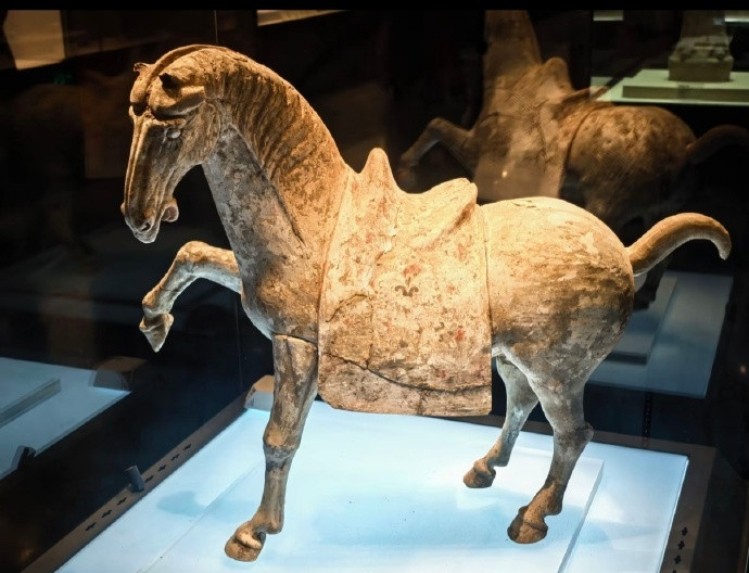 洛阳博物馆通报唐代陶马倒下断裂洛阳博物馆情况说明世界就是个巨大的草台班子，各行