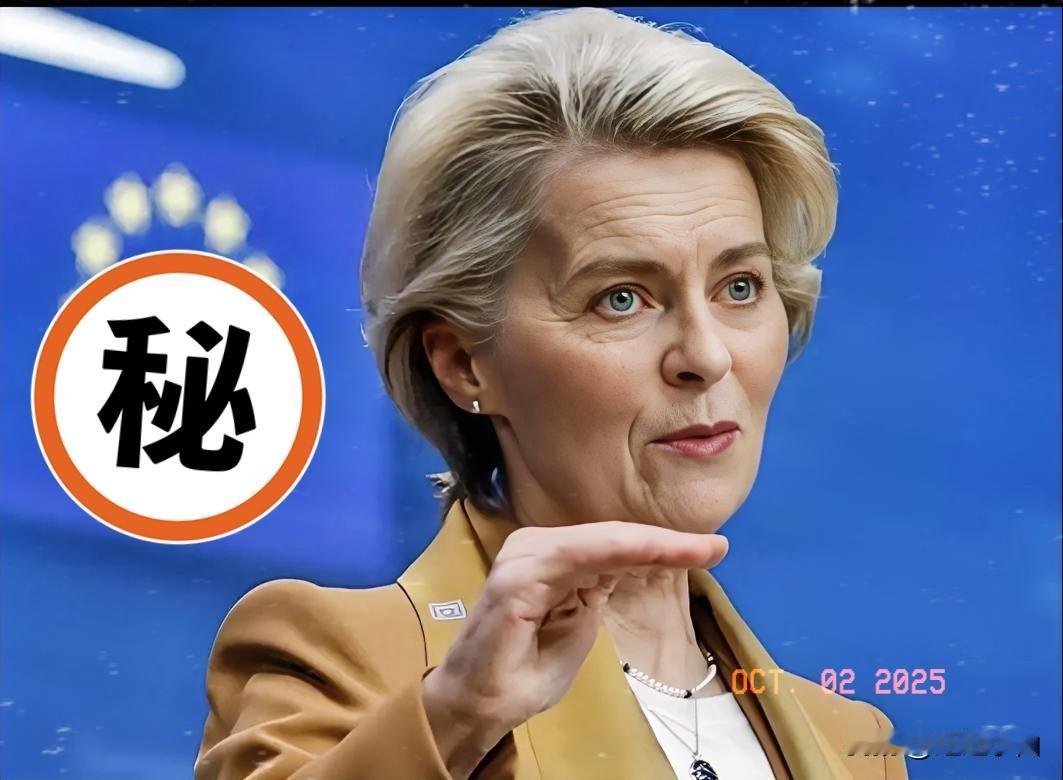 快报，快报，欧盟刚刚宣布了！欧盟27国于10月2日在哥本哈根召开非正式会议