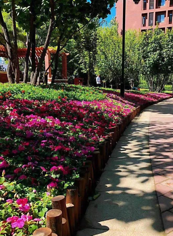 昨日（2月5日），北京二手房楼市火不火，一看数据就知道！新春佳节进入倒计时，