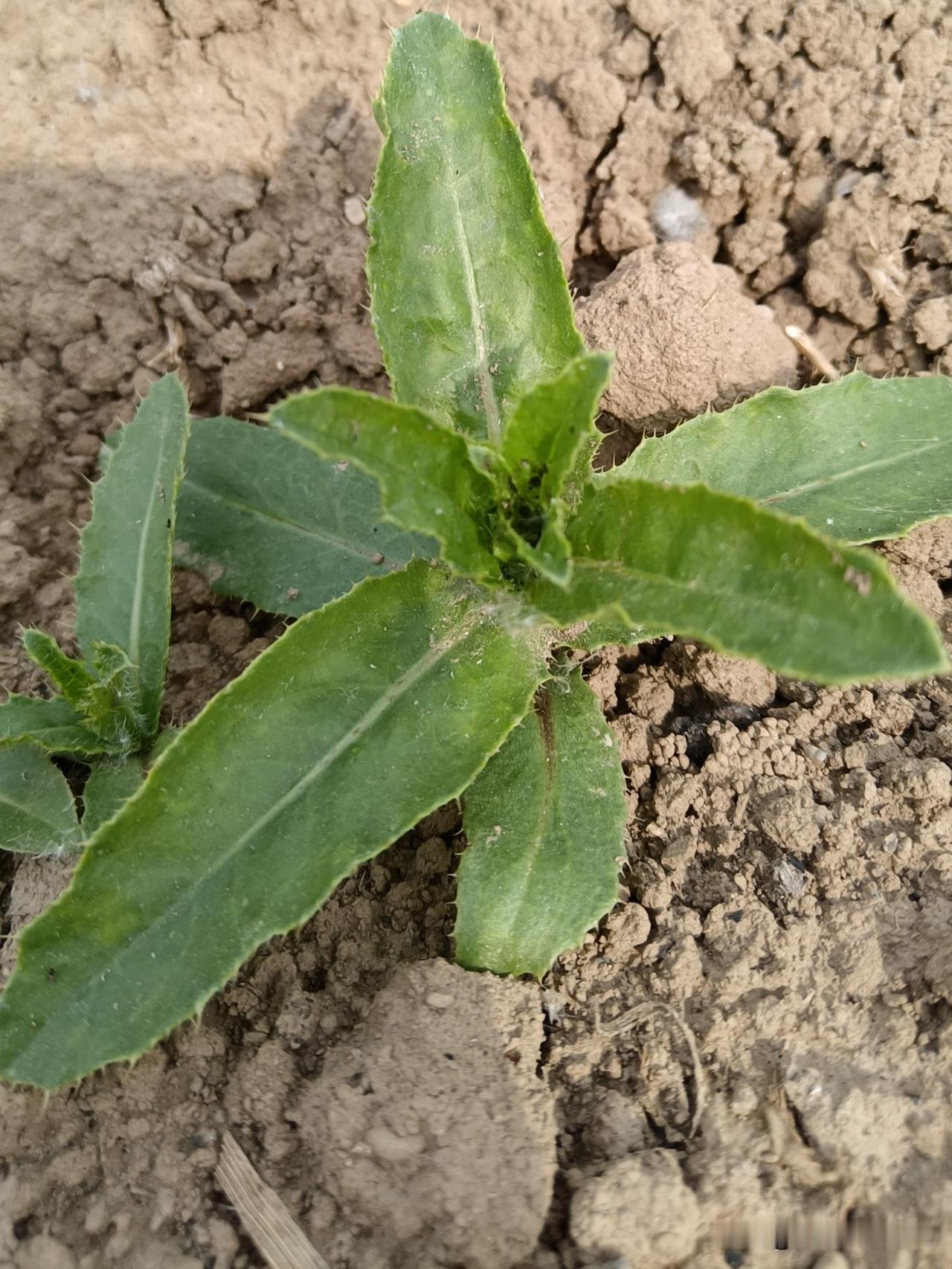 你的能量层级，决定了你遇见的人人生路上，随着自身境界不断提升，生命中总会陆