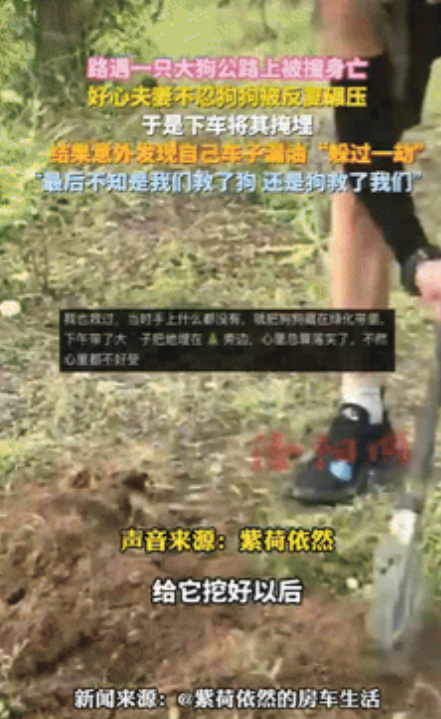 彻底解释不清了！”内蒙古，一夫妻驾车在公路上行驶时，发现有只大狗被撞身亡，两人不