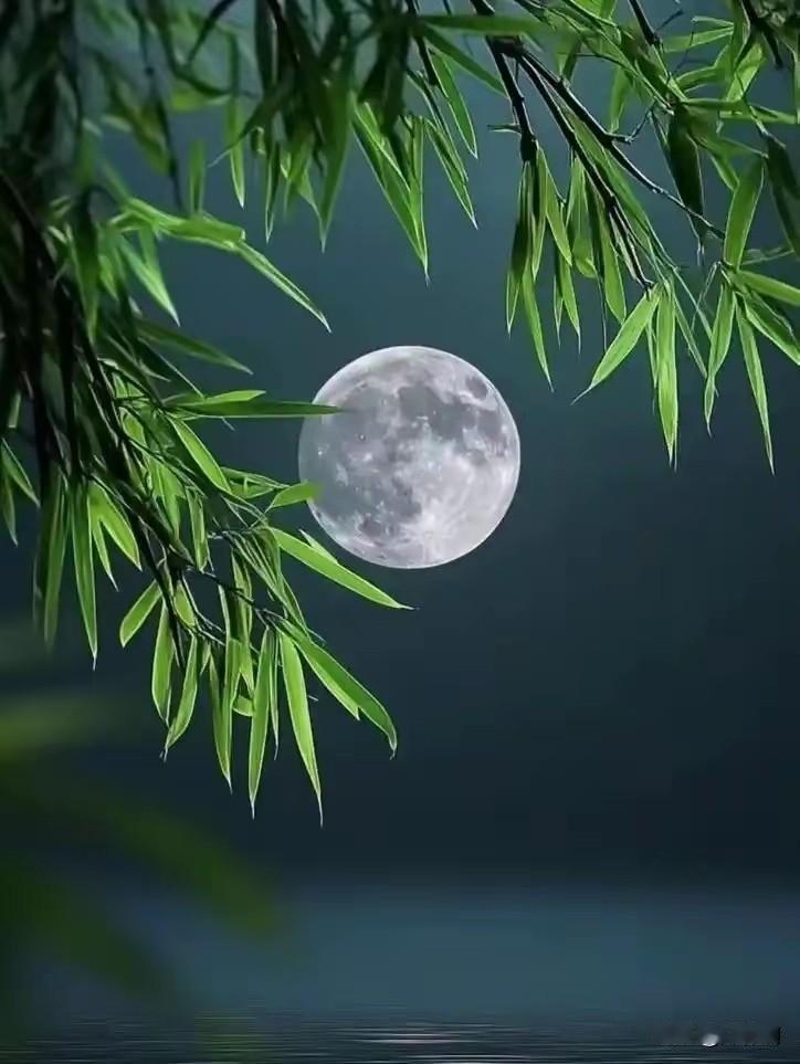 七律•岁月静好小院春深昼渐长，闲烹清茗对幽窗。风牵竹影摇书案，鸟啄花英落