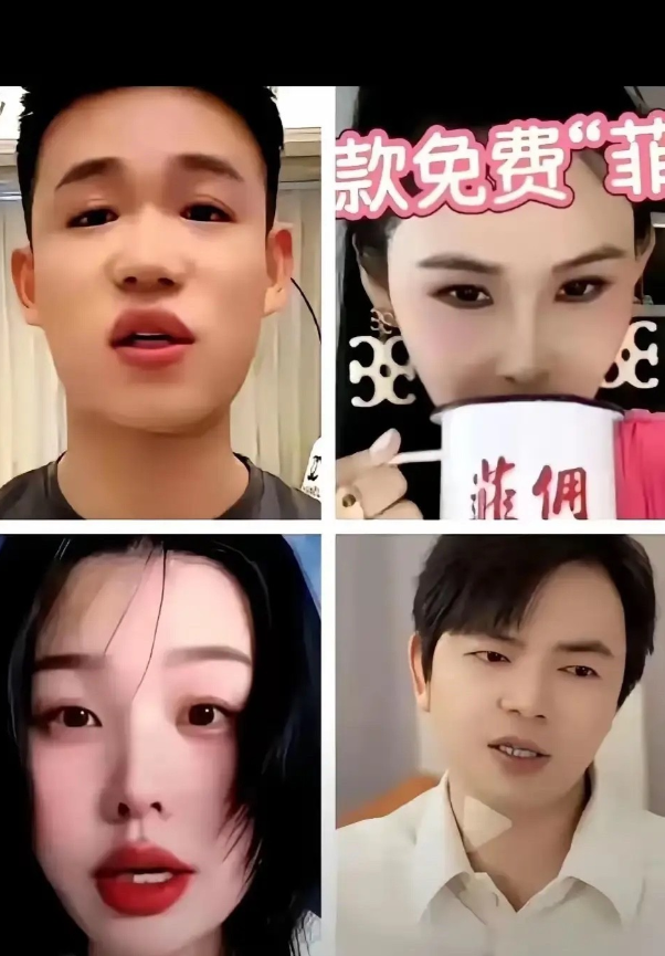 律师莉姐说，黑麻六记的四大黑子头目，他们背后都有一个很大的团伙，他们组团策划如何
