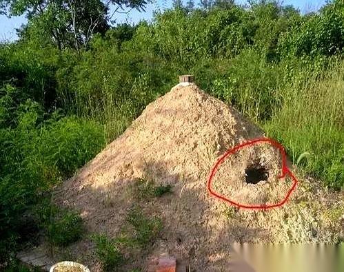 村西头那个坟包，打我记事起就戳在那儿，直勾勾地瞅着全村。明朝的，老祖宗的坟。你