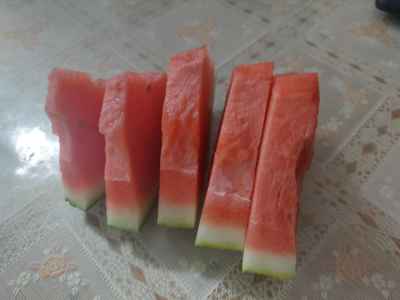 狗子小六成了吃瓜群众。下午和G哥一起喝了点啤酒。没想到啤酒这么上头