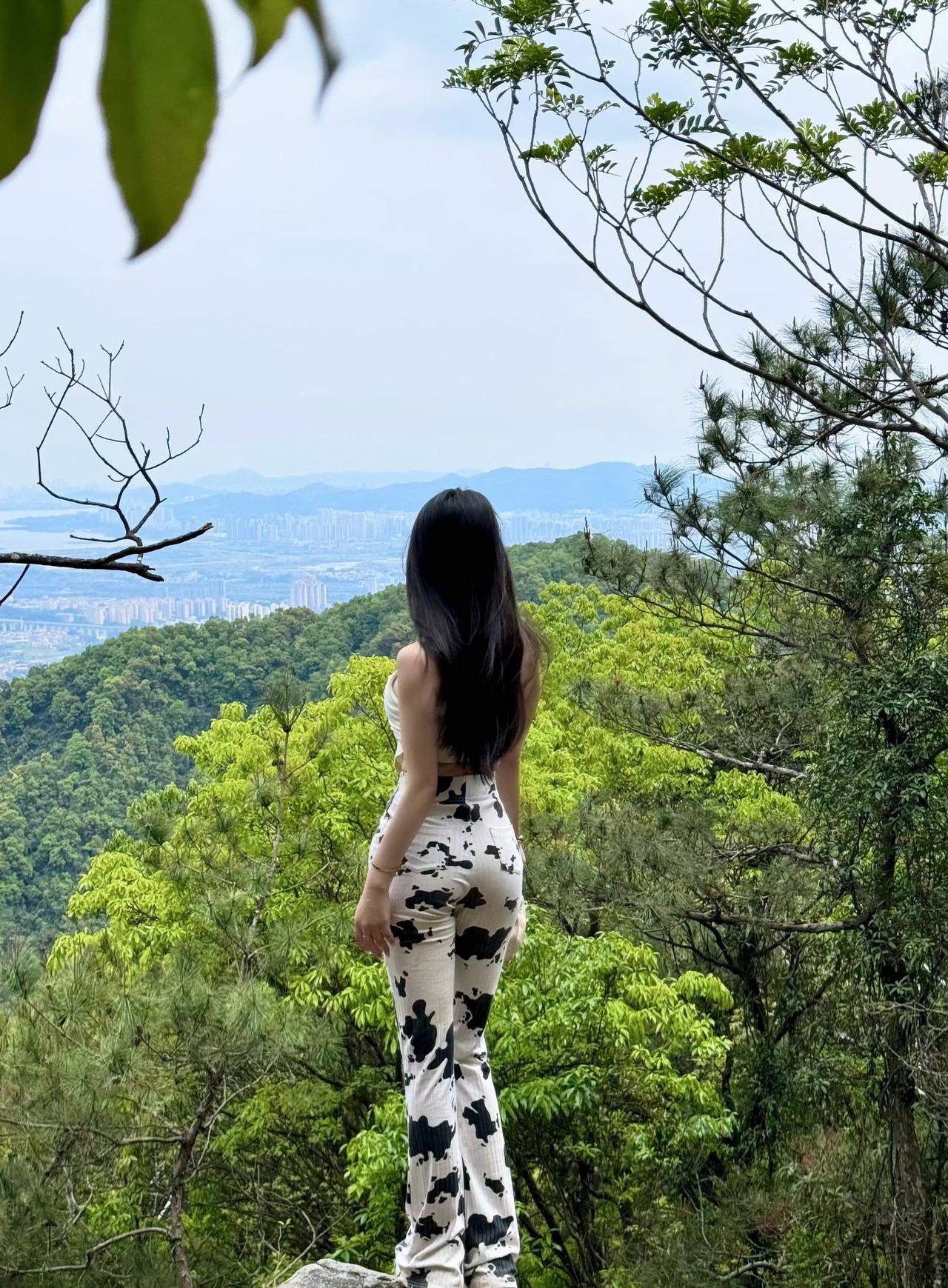 踩着满地的落叶，走进这片森林。风穿过树叶的缝隙，带着草木的清香，把城市的喧嚣