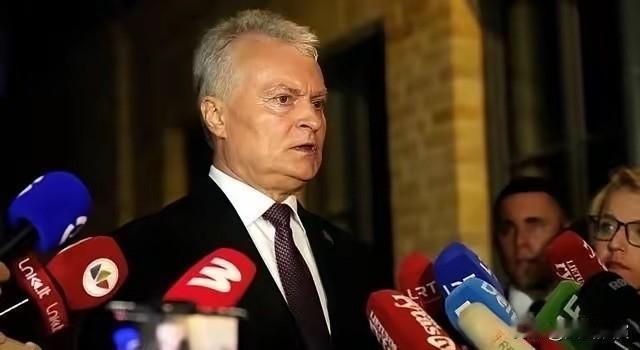 曾自取灭亡的立陶宛总统瑙塞达，中国没有迁就他立陶宛主动做出不当举动，我们全程