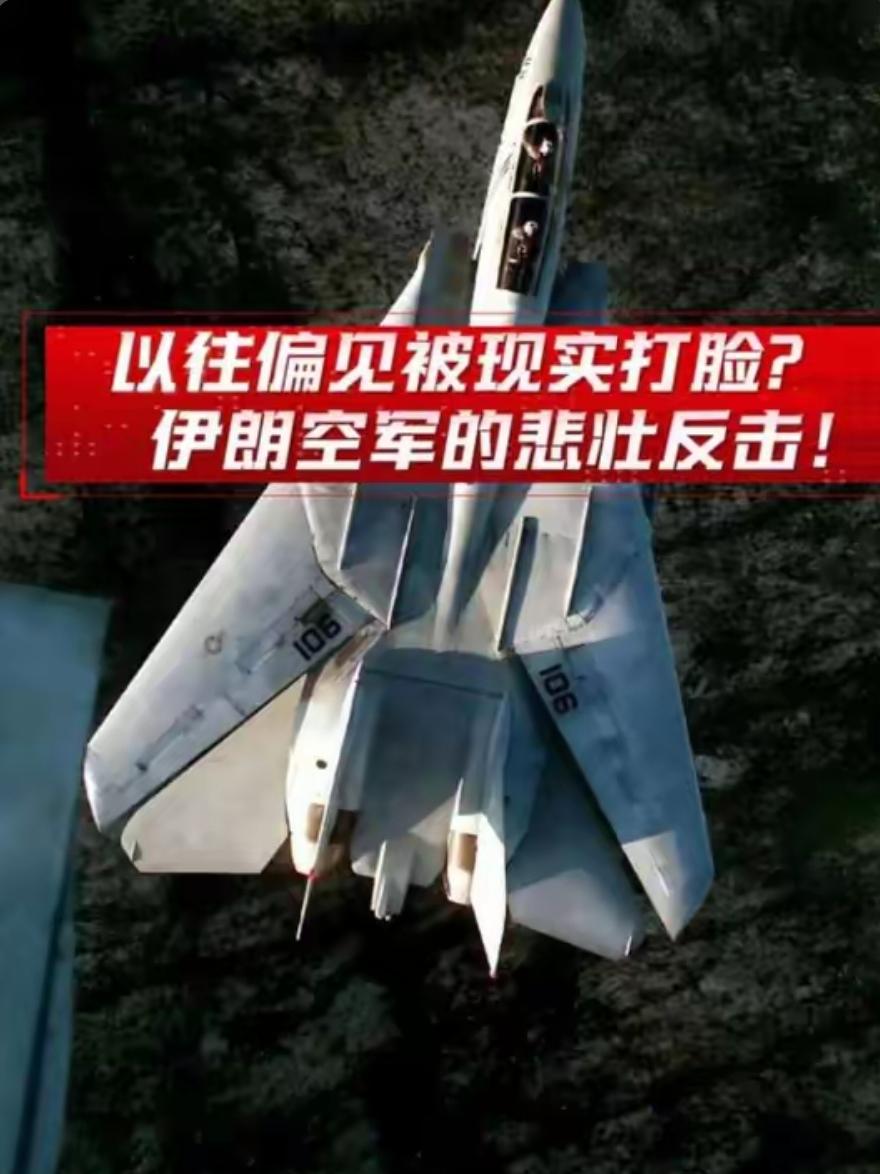 以前大家都被西方带了节奏，觉得伊朗革命卫队才是“自己人”，而国防军、空军，尤其那