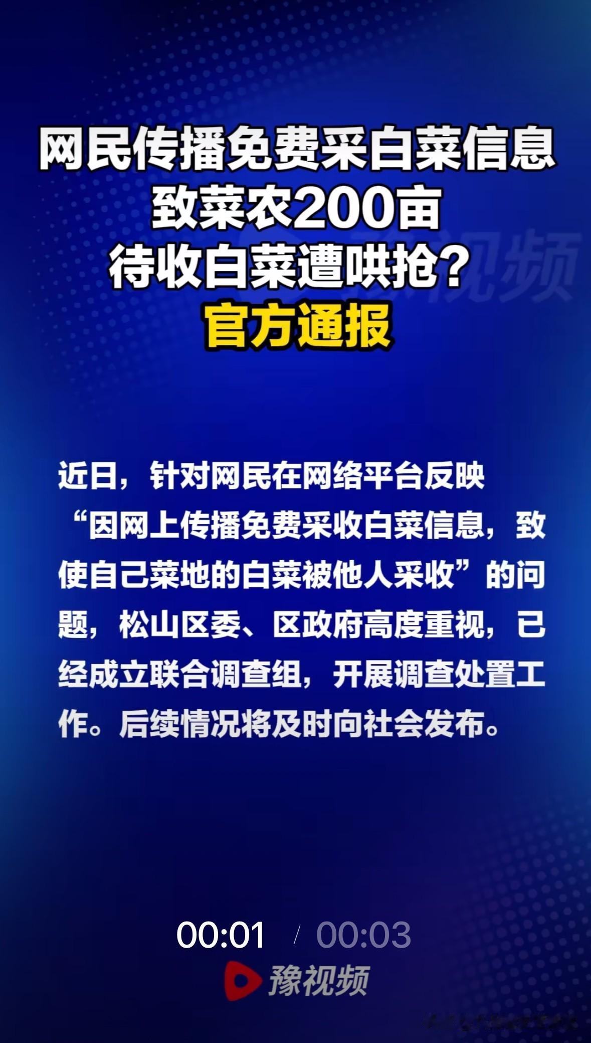 通辽千人“抢白菜”事件后续，不怕穷怕心穷先描述一下事情过程，通