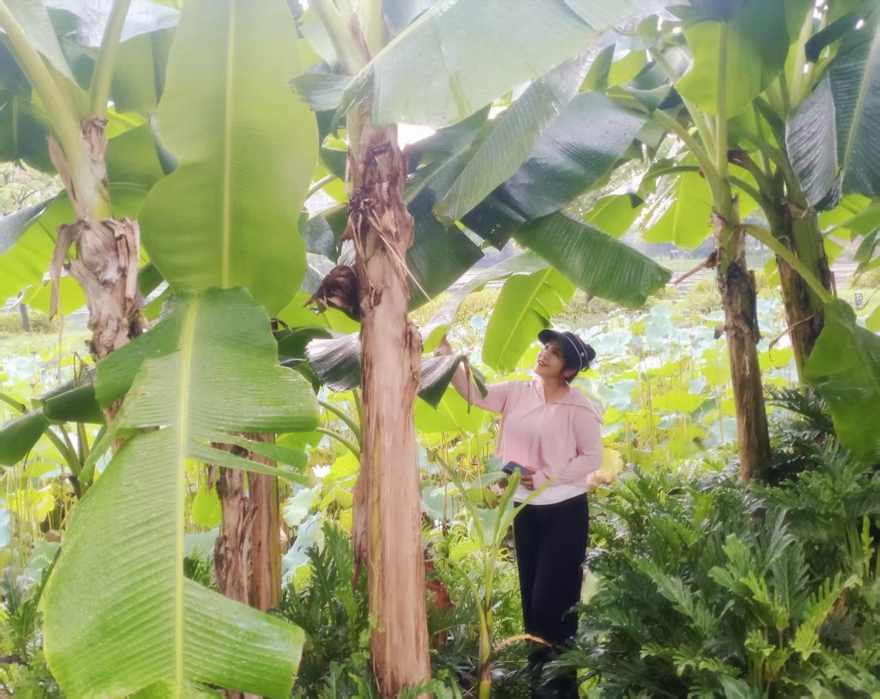 随手拍公园美景