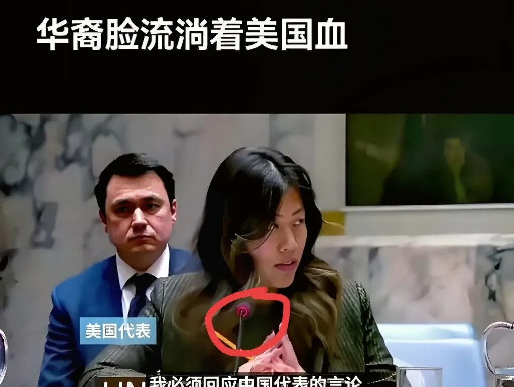 华裔美使中文呛声中国天呐噜，联合国上竟然有这么劲爆的一幕
