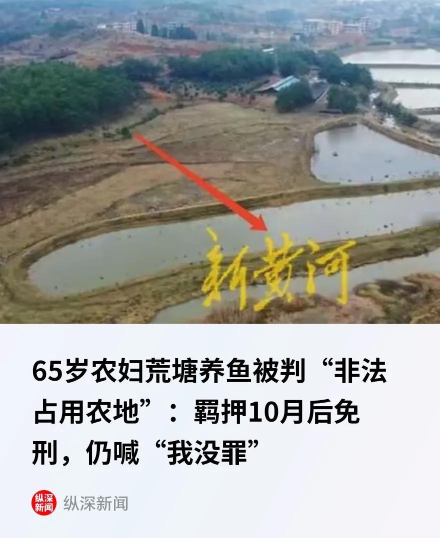 湖南永州，一65岁女子承包了一片11.98亩的土地，常年被水淹没，约30年无人耕