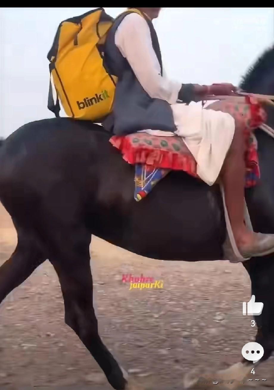 罕见！印度拉贾斯坦邦送快递，骑着马送快递。这么好的柏油路上不会骑个电动车吗？印