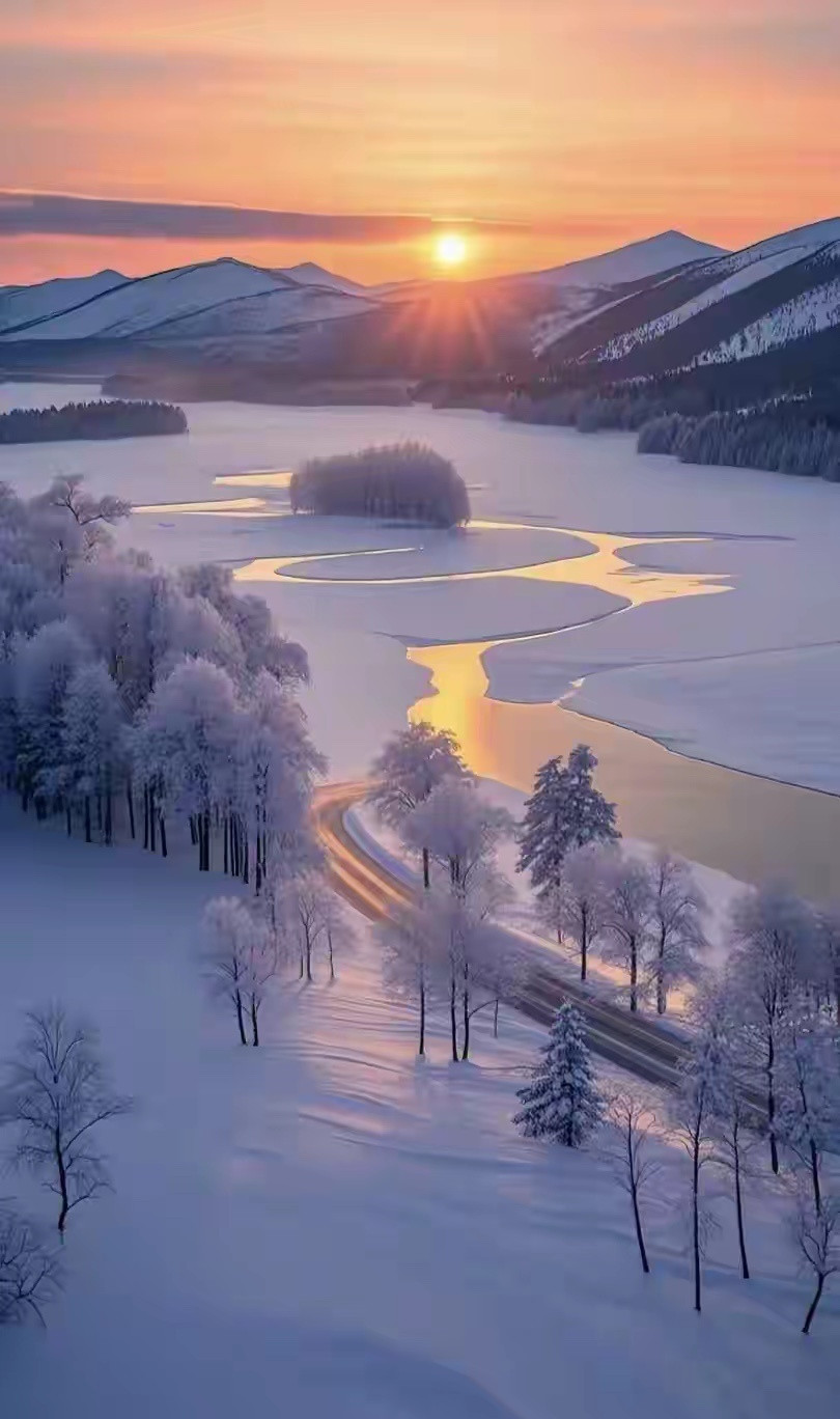 十一月的最后一天，挽心安赏，冬酿时光，愿你岁月不惊，晨昏无恙微凉的光阴里，半是西