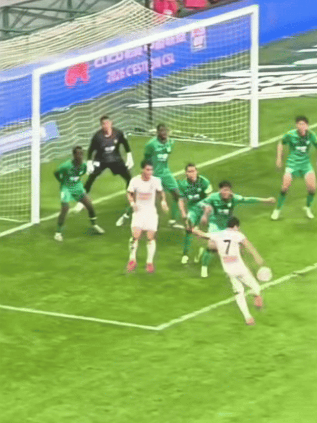 这球绝对是手球啊，球打中手臂改变方向立刻折射入网，廖力生的手臂被球击中后还弹了一