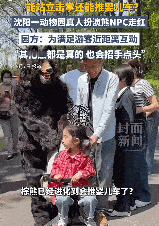沈阳有一家动物园可火了，就因为里面一只“熊”，凭着一套灵巧到离谱的操作，直接刷爆