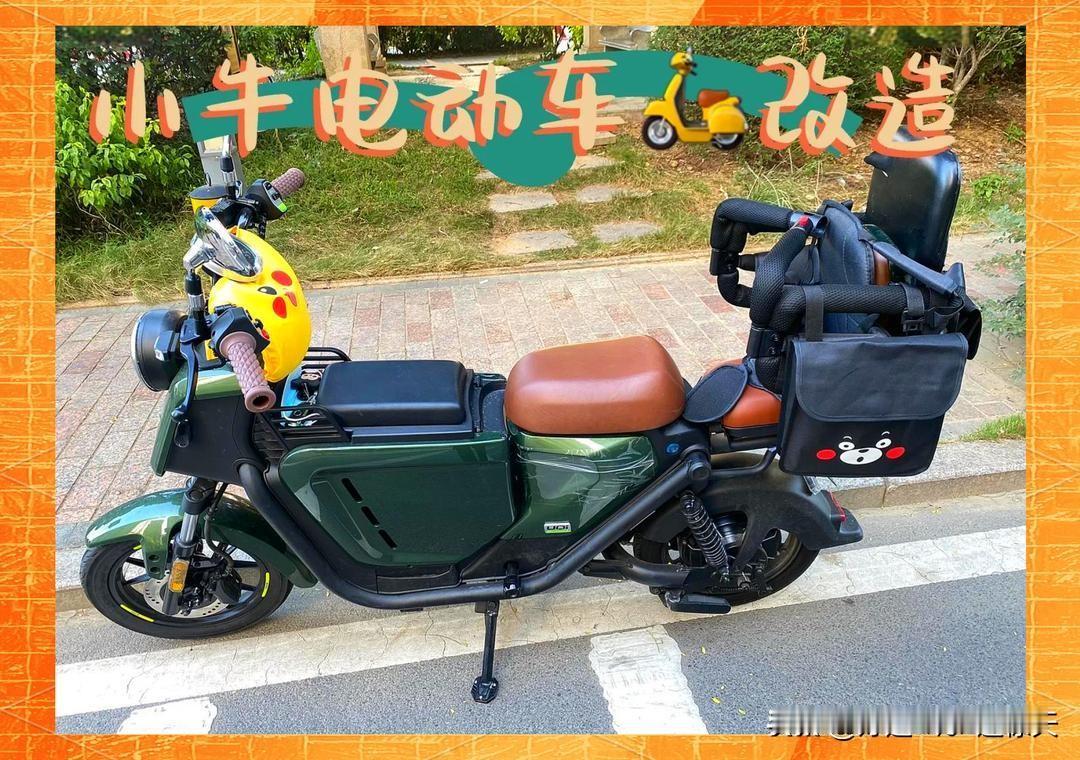 新国标电动车不能载人？网友这波改装绝了，看完笑不活了！我刷到这视频的时候正在