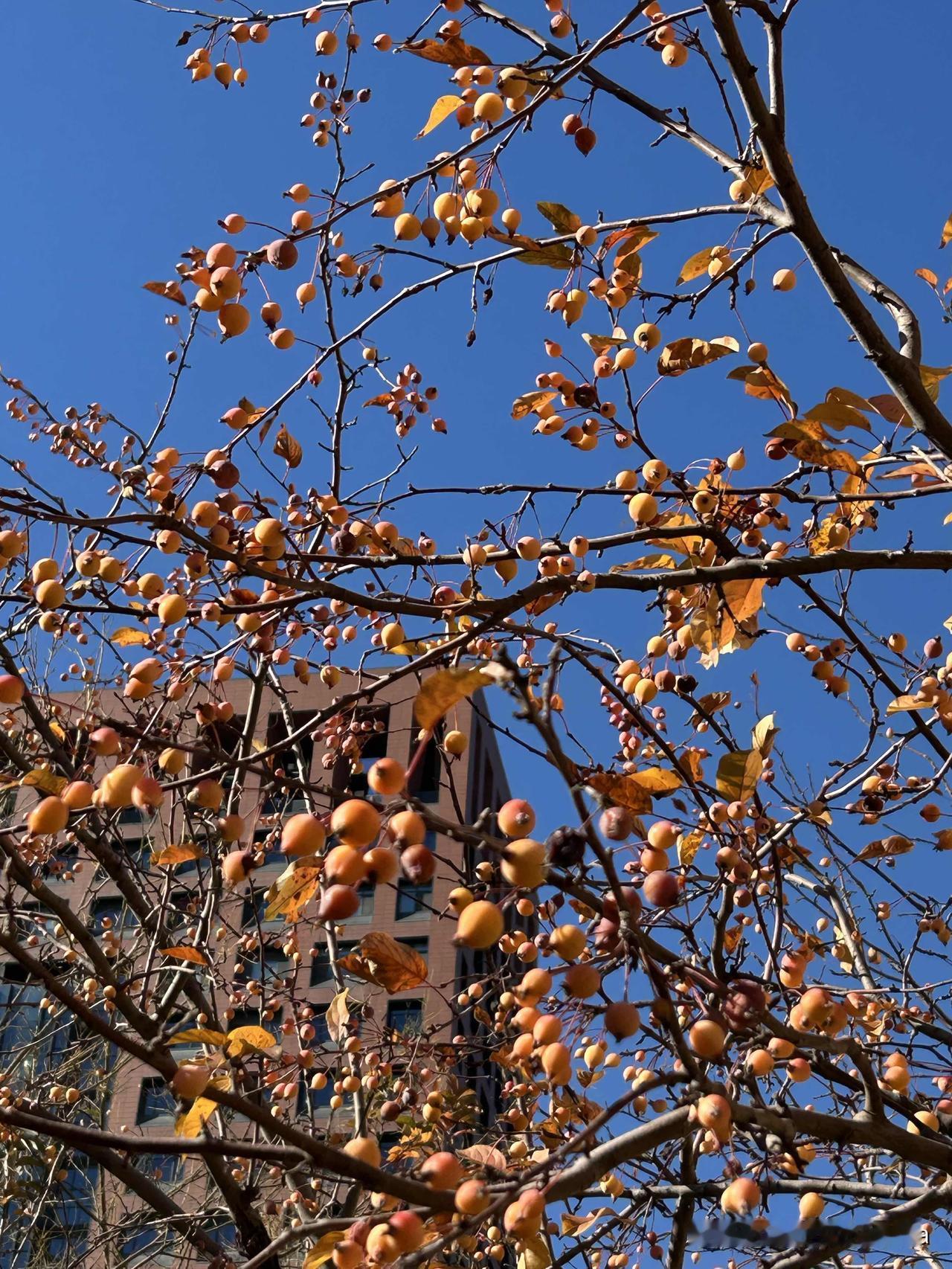 快乐就是要放松心情，无论你处境多么糟糕，都要接受自己，放下心来过好每一天。公