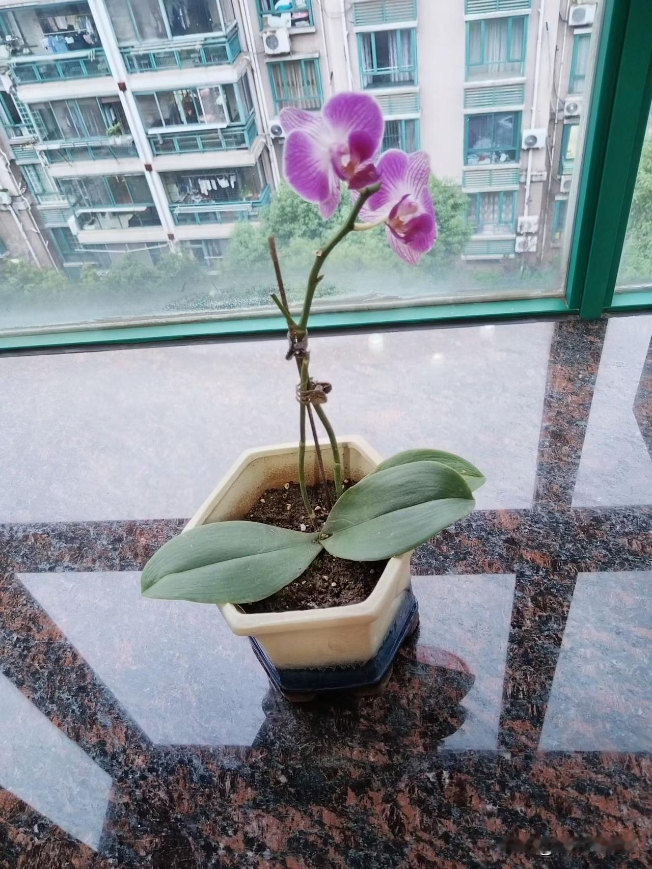 借钱就是被借运，以前我不相信，现在终于信了。前几天我堂姐来我家了，说她近几日