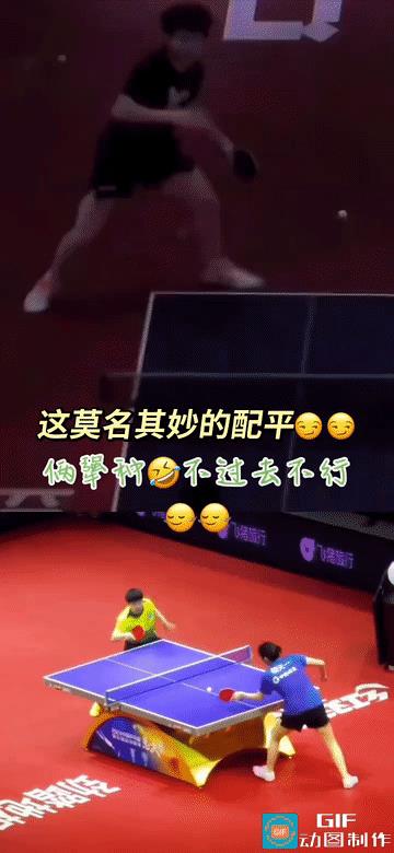 原来莎头都是犟种，唯一不同的是头哥看上去欠欠的，莎莎看起来萌萌的，真没想到这两