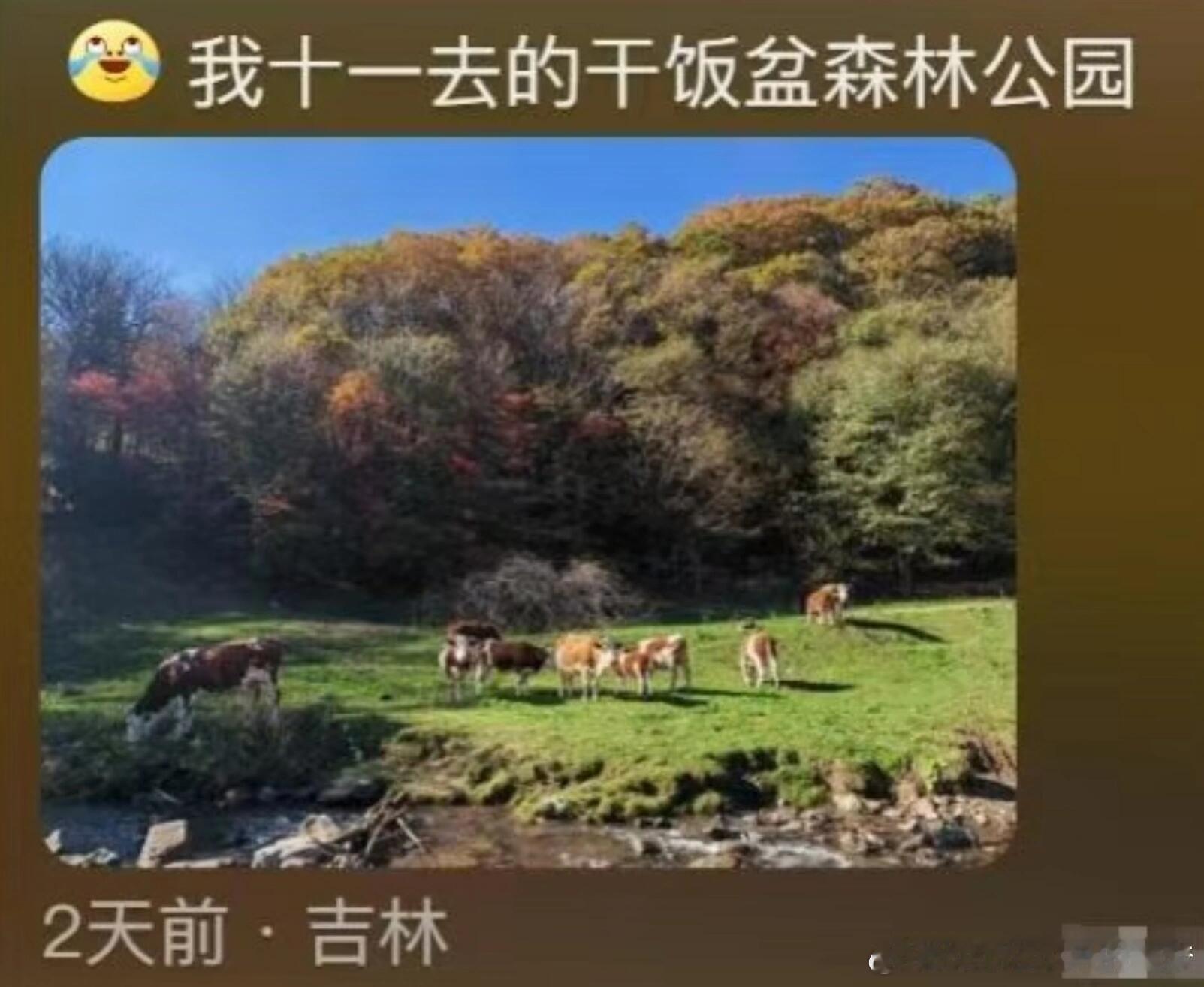 东北各文旅局长：带不动，真的带不动。景色再好，你让我咋宣传，啊？！