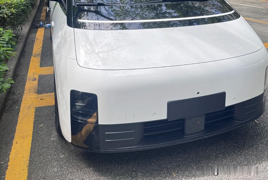 提都提了，再慌也要憋心里去[捂脸哭]