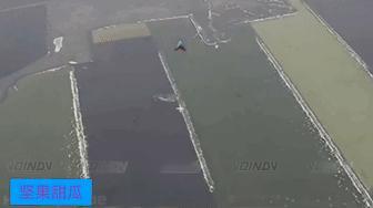 乌克兰大平原，乌军在田野的防风林构筑了战壕和工事，成为东部集群前进的障碍，空天军