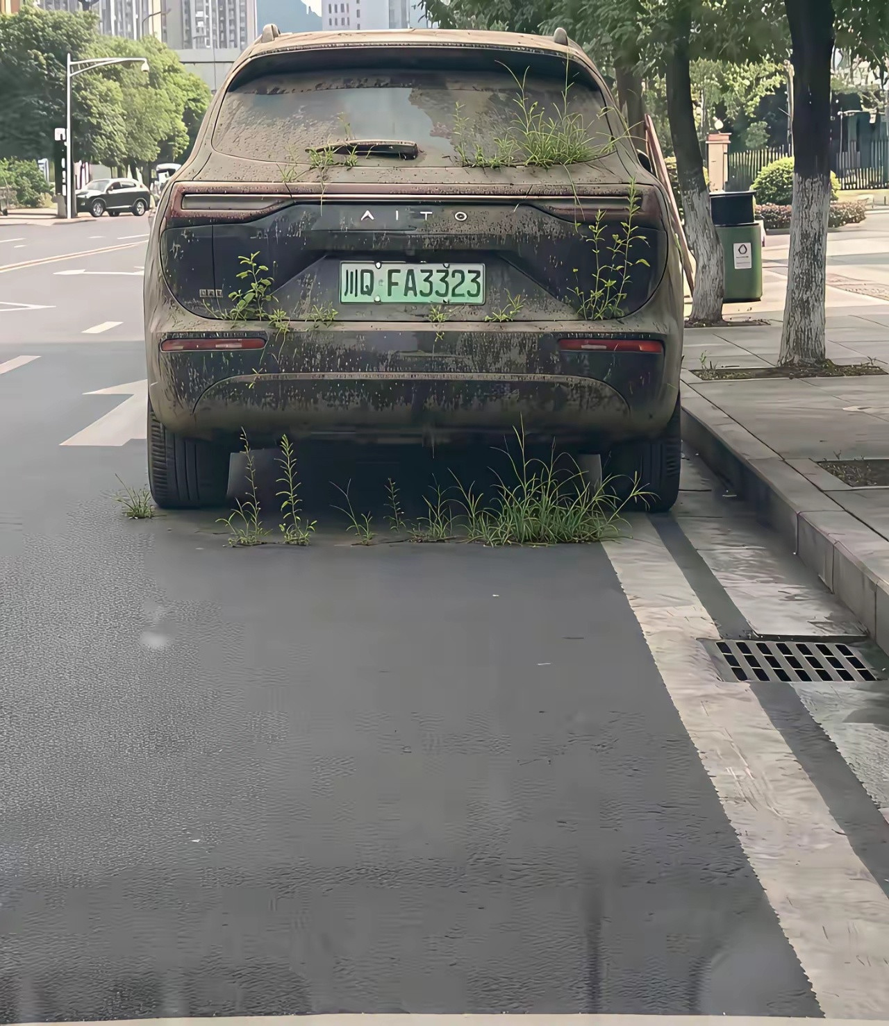有钱人都这么豪横？​​​
