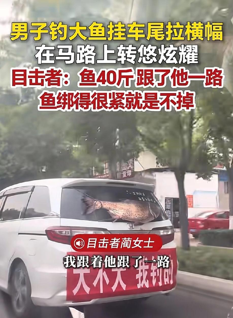 笑喷了！5月25日，荔枝新闻报道，河南南阳一名男子钓到一条40斤的大鱼，直接挂在