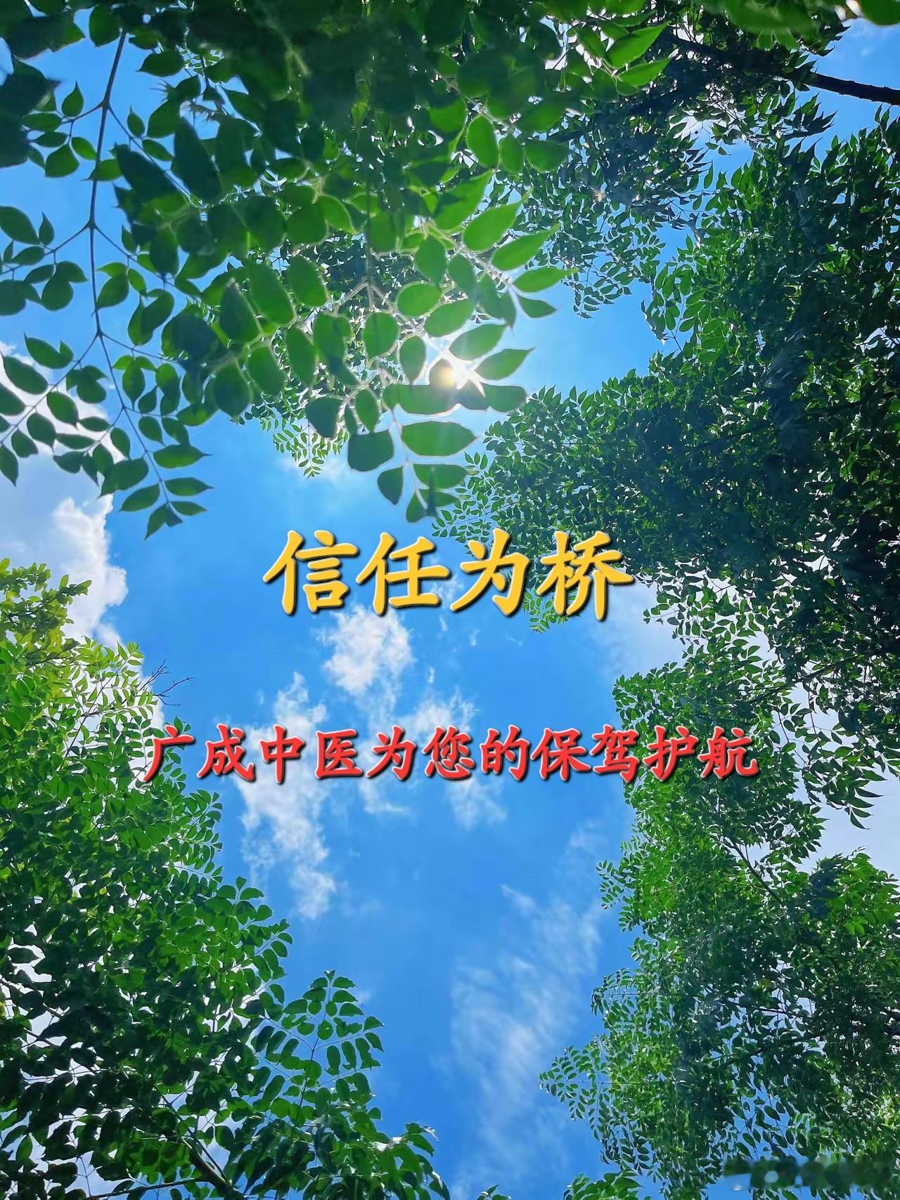 万物因气而生，气乱则病，气衰则老，气尽则灭。人之病者气之乱！黄帝内经:人身所有血