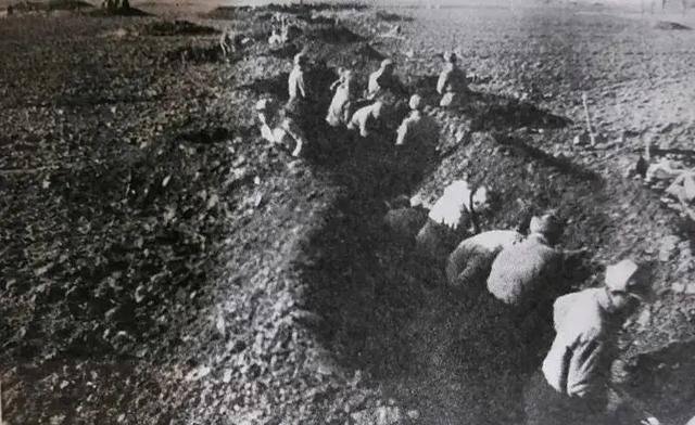 上世纪70年代的一天，昆明军区副司令查玉生少将正在午休，突然听到几声鸟叫声。原来