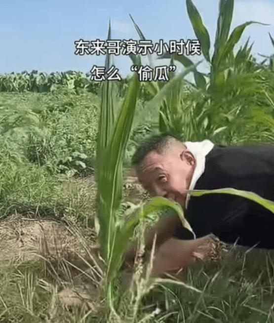 胖东来董事长于东来偷瓜被抓现形？近来一则视频在网上疯传，视频中，于东来弯腰爬